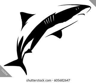 black and white linear paint draw shark illustration