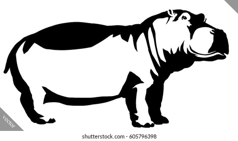 black and white linear paint draw Hippo vector illustration