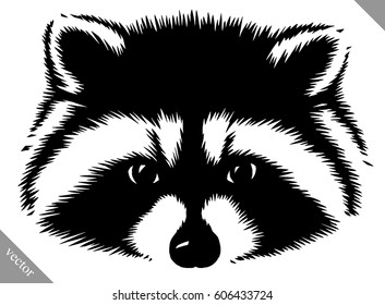 black and white linear paint drawn raccoon vector illustration