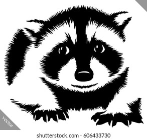 black and white linear paint drawn raccoon vector illustration