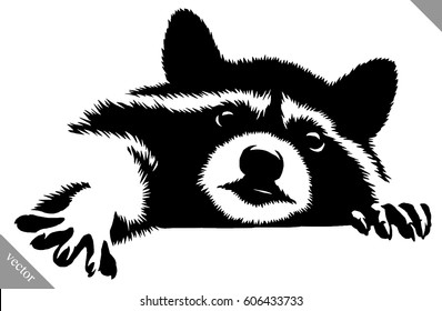 black and white linear paint drawn raccoon vector illustration