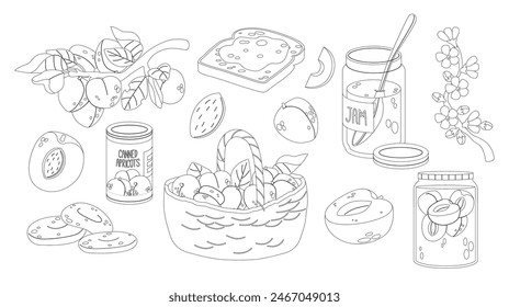 Black And White Linear Vector Illustrations Of Apricots In Various Forms, Including Fresh, Canned, Jam And A Basket