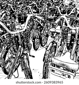 Black and white lines represent many bicycles.