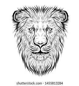 Black White Lion Face Vector Illustration Stock Vector (Royalty Free ...