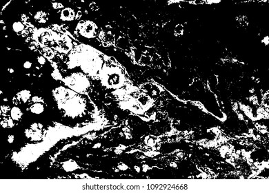 Black and white liquid texture. Hand drawn marbling illustration. Abstract vector background. Monochrome marble pattern.