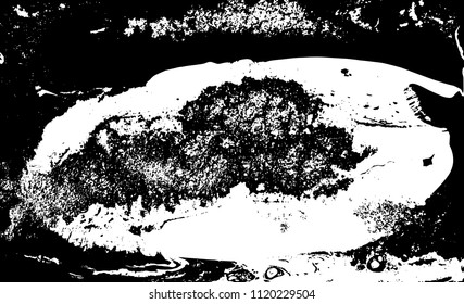 Black and white liquid texture. Marbled illustration. Abstract vector background. Monochrome marble pattern.