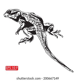 black and white lizard dragon isolated on a white background vector