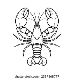 Black and White Lobster Line Art Vector Illustration. Isolated on white background