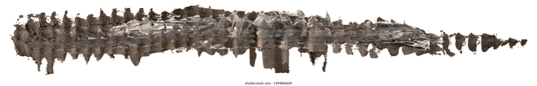 Black and white long oil texture paint stain brush stroke, hand painted, isolated on white background. EPS10 vector illustration.
