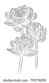 Black White Lotus Flower Pattern Sketch: vector de stock (libre de