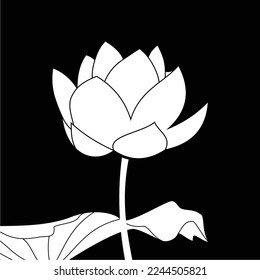 black and white lotus flower is simple and luxurious, suitable for use in all fields, especially those related to the plant world