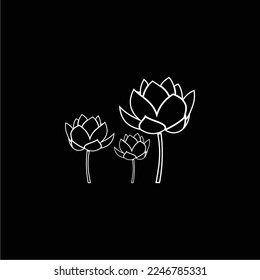 black and white lotus flower is simple and elegant, suitable for use in all fields, especially in sectors related to the plant world