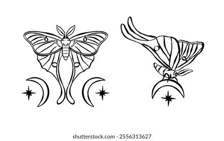 Black and white Luna moth hand drawn illustration isolated on white background. Monochrome Celestial butterfly design