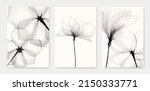 Black and white luxury watercolor art background with transparent x-ray flowers. Ink botanical design for interior design, decor, packaging, invitations, print