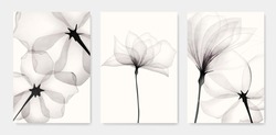 Black And White Luxury Watercolor Art Background With Transparent X-ray Flowers. Ink Botanical Design For Interior Design, Decor, Packaging, Invitations, Print