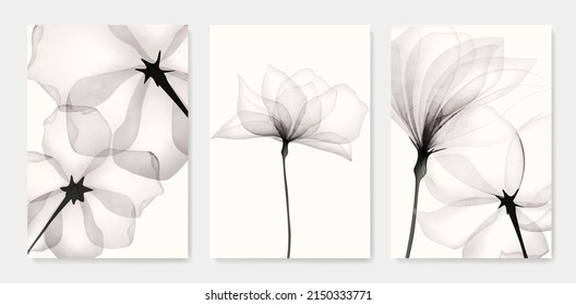 Black   white luxury watercolor art background and transparent x  ray flowers  Ink botanical design for interior design  decor  packaging  invitations  print
