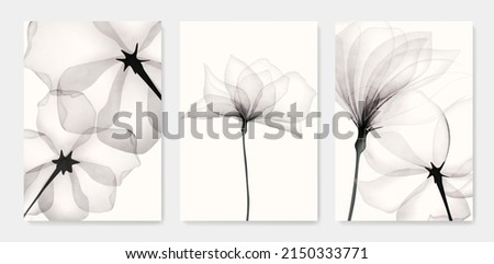 Black and white luxury watercolor art background with transparent x-ray flowers. Ink botanical design for interior design, decor, packaging, invitations, print