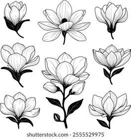 Black and white magnolia flower illustrations in a fine line art style. Set of spring flowers. For botanical designs, prints, and tattoo, wall art, wedding invitations, branding, digital artwork