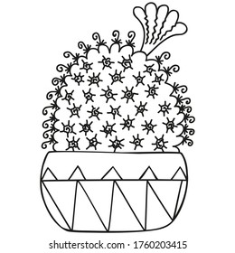 Black and white Mammillaria bocasana with flower from above growing in a pot. Cactus for coloring book, graphic design. Single succulent. Vector.