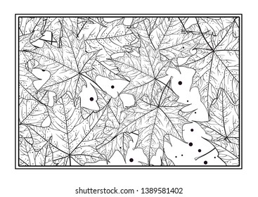 Black and white maple leaves vector antistress coloring page