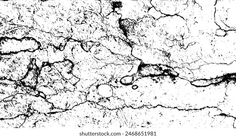 Black and White Marble Stone Vector Texture