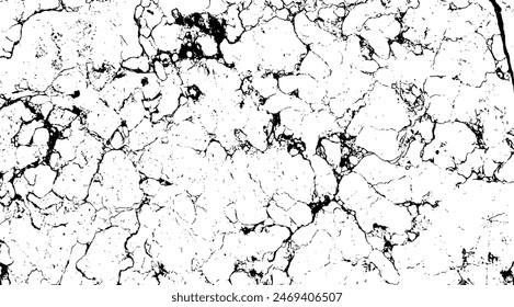 Black and White Marble Stone Vector Texture
