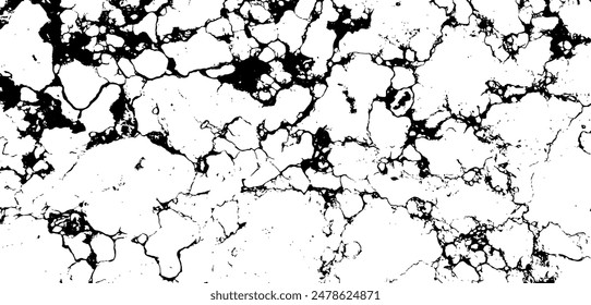 Black and White Marble Stone Vector Texture