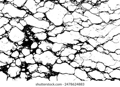 Black and White Marble Stone Vector Texture