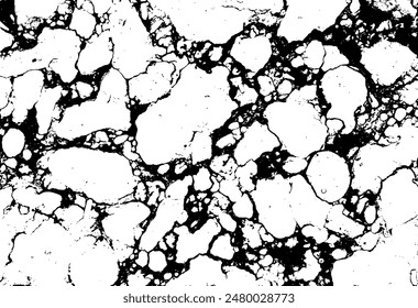 Black and White Marble Stone Vector Texture
