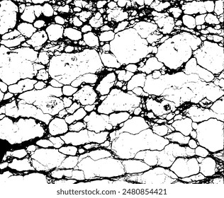 Black and White Marble Stone Vector Texture
