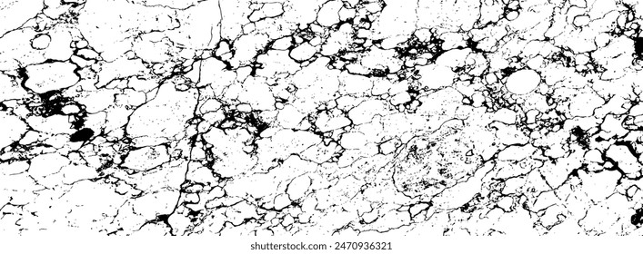 Black and White Marble Texture Design with Curved lines.