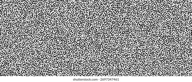 Black and White Maze Abstract Line Pattern