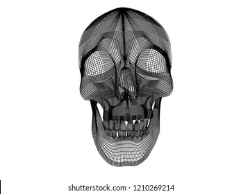 black and white mesh of a skull