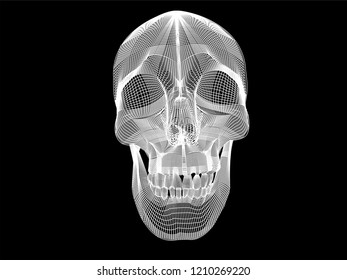 black and white mesh of a skull