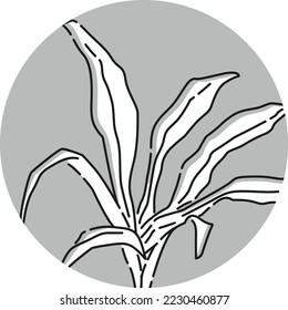 (Black and white) Microsorium icon (aquatic plants)