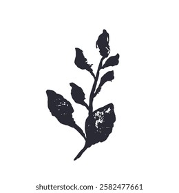 Black and white minimal rustic inky leaf silhouette. Monochrome sketchy textured loose floral twig doodle. Hand drawn bold color botanical element