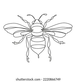 Black and white minimalist line art. Bee on a white background. One line drawing.