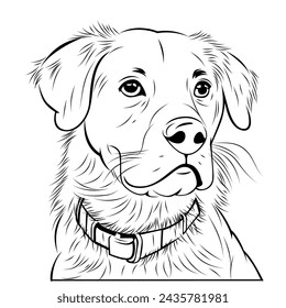 black and white model dog animal illustration