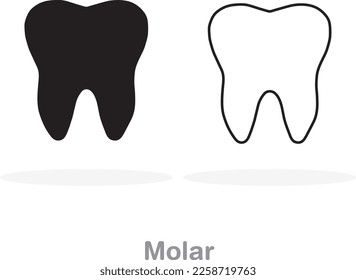 Black and white molars on a white background with copy space