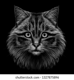 Black and white, monochrome, hand-drawn, multicolored portrait of a cat looking forward on a black background.