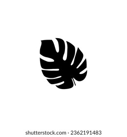 Black and white monstera tropical leaf vector.