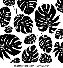 Black And White Monstera Tropical Leaf Pattern. Vector
