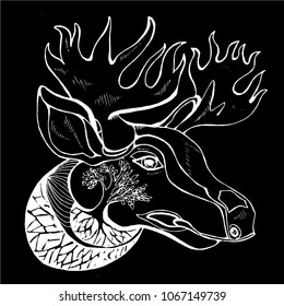 Black and white moose illustration with a big eye and patterns in the form of roots. Chalk on a blackboard