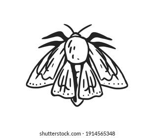 Mariposa o polilla negra y blanca con alas dobladas. Vista superior del insecto nocturno aislado en fondo blanco. Ilustración vectorial aislada en fondo blanco.