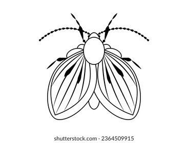Schwarz-Weiß-Moth-Fly-Insekt-Clipkunst. Farbseite eines Moth Fly Insekts