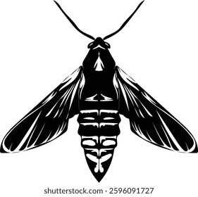 Black and White Moth Fly Insect Silhouette Clipart Vector