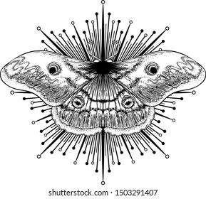 Black and white moth over sacred geometry sign, isolated vector illustration. Tattoo flash. Mystical symbols and insects. Alchemy, occultism, spirituality, coloring book. Hand-drawn vintage.