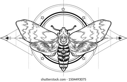 Black and white moth over sacred geometry sign, isolated vector illustration. Tattoo flash. Mystical symbols and insects. Alchemy, occultism, spirituality, coloring book. Hand-drawn vintage.