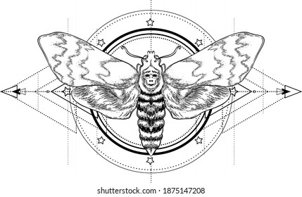 Black and white moth over sacred geometry sign, isolated vector illustration. Tattoo flash. Mystical symbols and insects. Alchemy, occultism, spirituality, coloring book. Hand-drawn vintage.