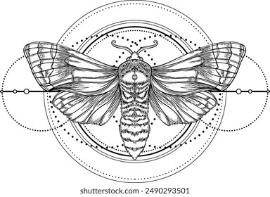 Black and white moth over sacred geometry sign, isolated vector illustration. Tattoo flash. Mystical symbols and insects. Alchemy, occultism, spirituality, coloring book.